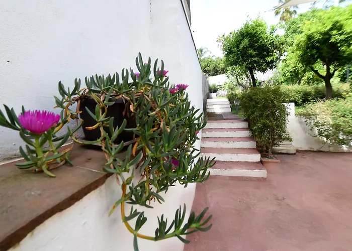 Borgata Del Sorbo